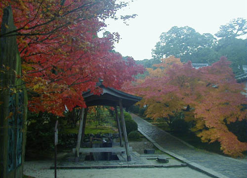d0053294_115390.jpg