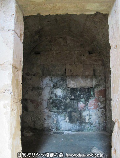 c0010496_6394834.jpg