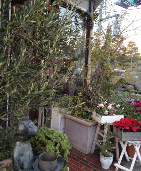 b0207698_17594728.jpg