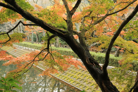 パンを下さい_b0275998_23515879.jpg