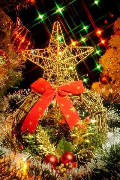 ★X’mas限定★松葉蟹コース&ケーキ&ワインP_d0135908_14229100.jpg