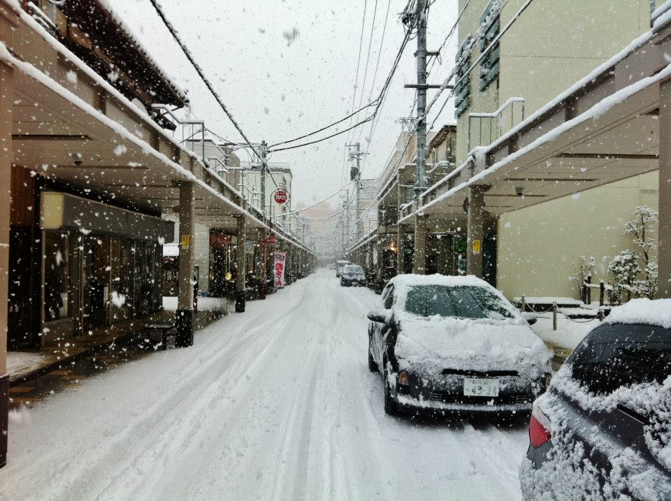 新潟・カミフルは雪です！_d0039111_11545873.jpg