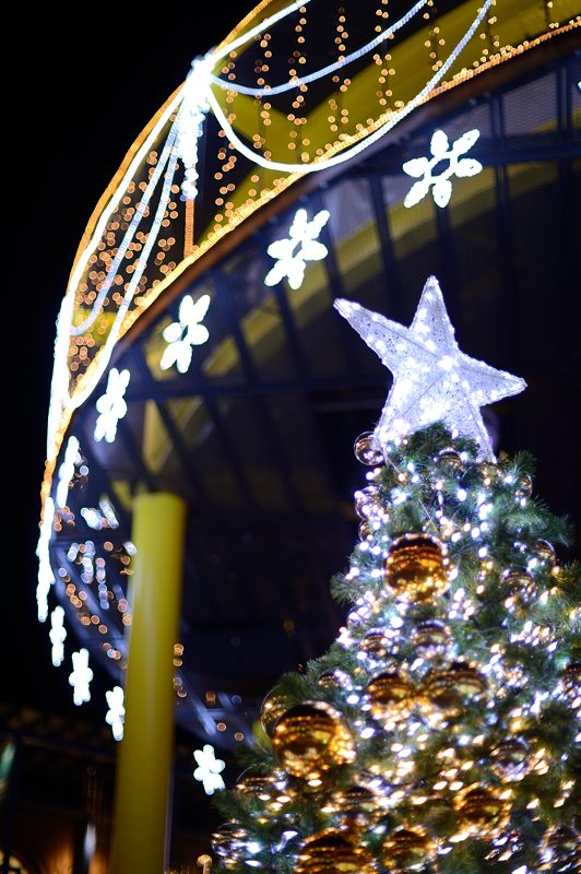 新風館 クリスマスイルミネーション_f0032011_19473738.jpg