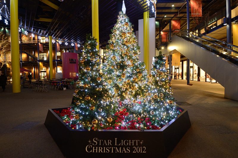 新風館 クリスマスイルミネーション_f0032011_19482952.jpg