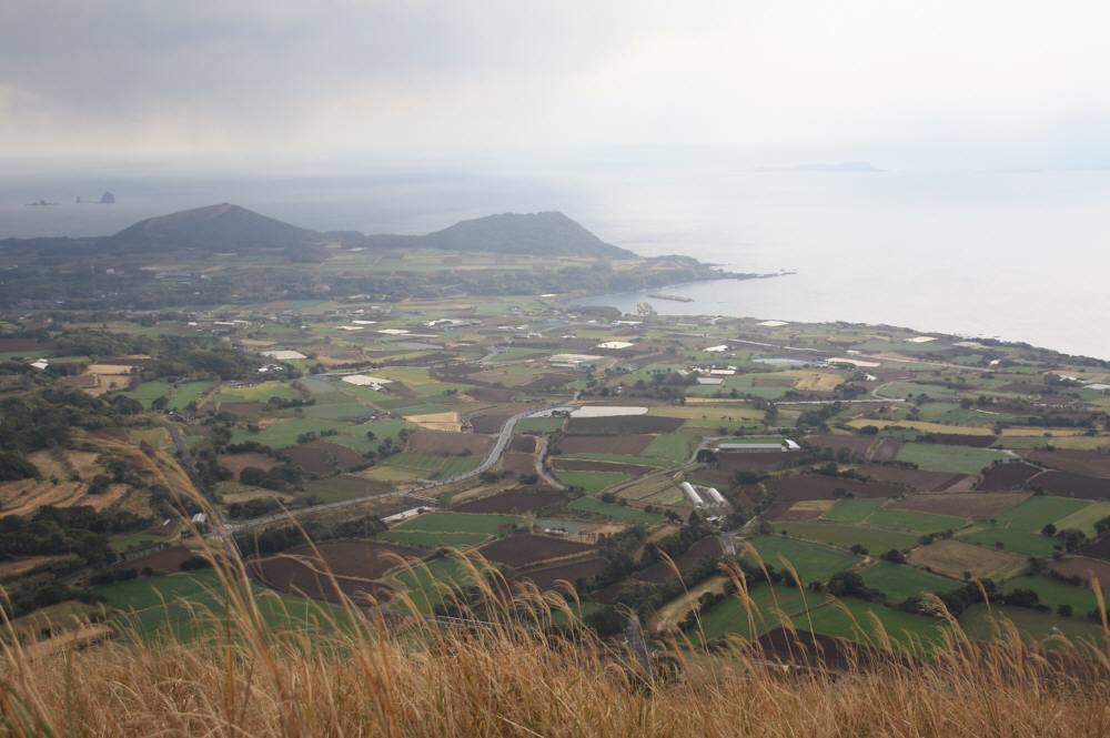 鬼岳・火ノ岳・箕岳（長崎県）315ｍ　315ｍ　144ｍ_f0212511_22513179.jpg