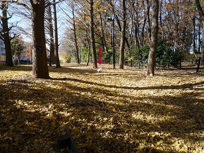 b0207912_22123722.jpg
