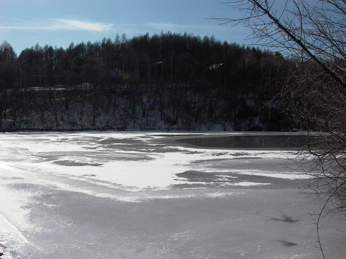 a0150213_1805930.jpg