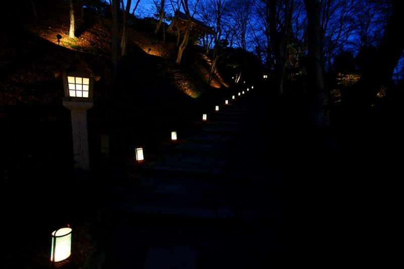 常寂光寺の夜_e0177413_925411.jpg