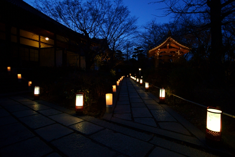 常寂光寺の夜_e0177413_9302692.jpg