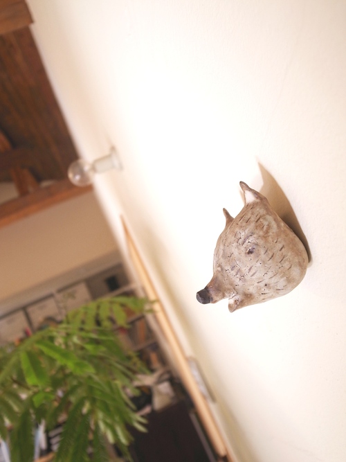 メンテナンス_f0150413_1310539.jpg