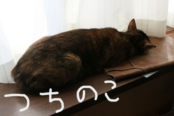f0203423_15365329.jpg