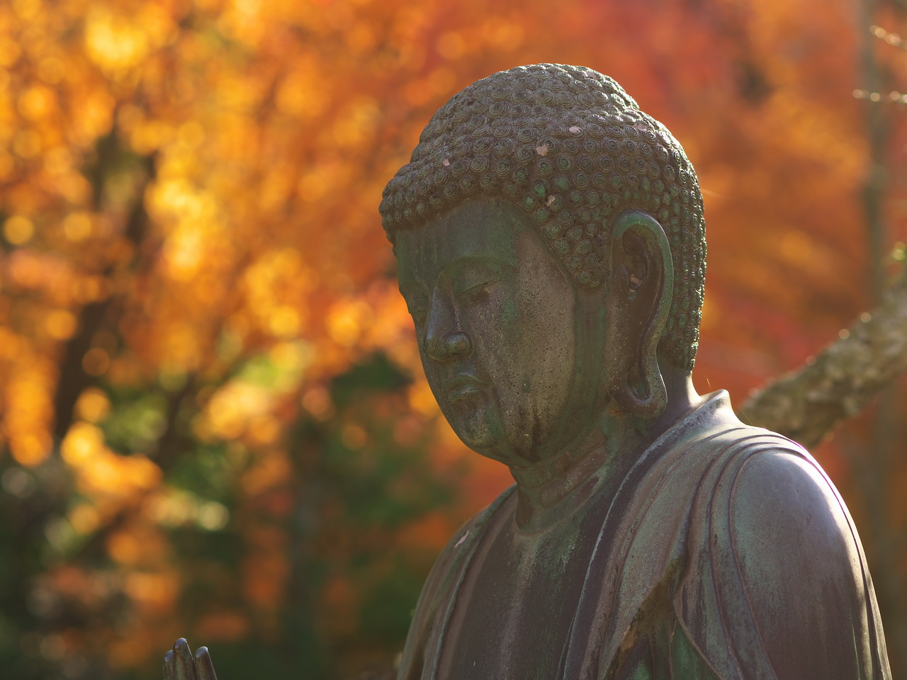 紅葉の北鎌倉（東慶寺）_b0093625_16404844.jpg