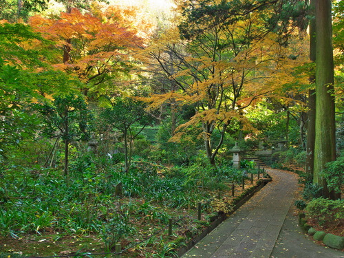 b0093625_16502242.jpg