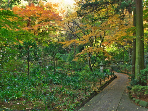 紅葉の北鎌倉（東慶寺）_b0093625_16502242.jpg