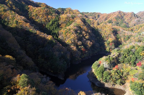 c0136926_17462457.jpg