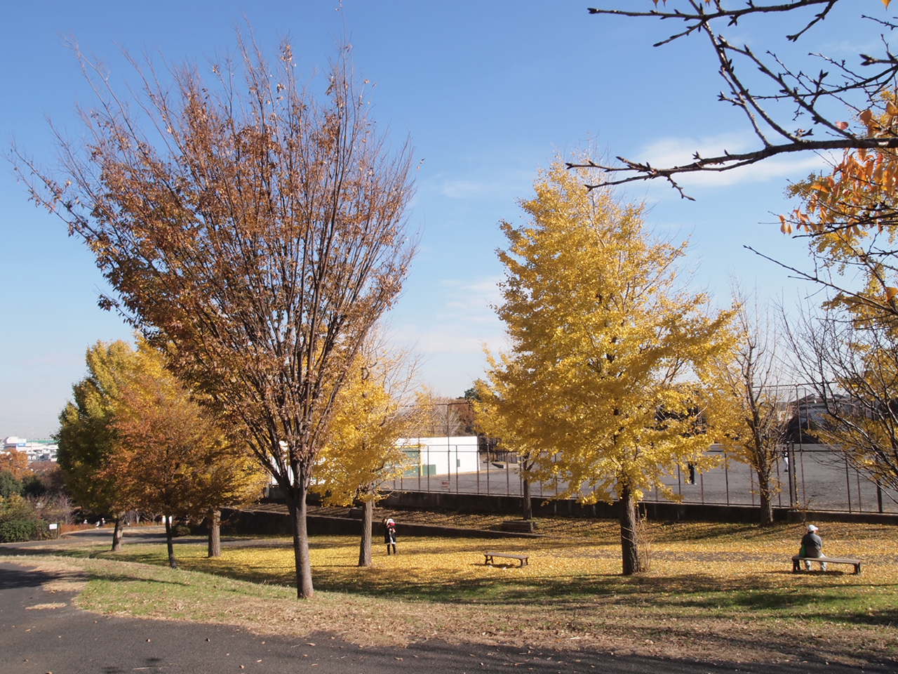 a0214329_16195536.jpg