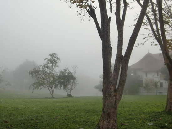 c0127933_07303.jpg