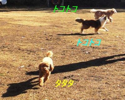 皆で遠足_e0195743_427424.jpg