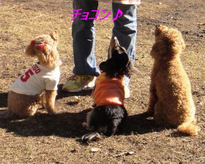 皆で遠足_e0195743_4274844.jpg