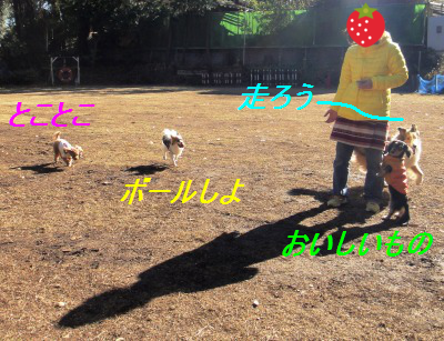 皆で遠足_e0195743_4281294.png