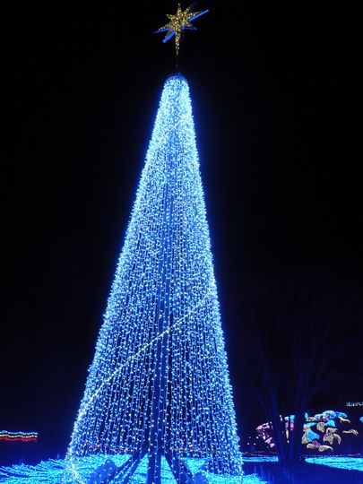 f0090444_22501680.jpg