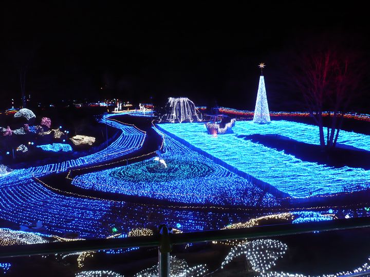 f0090444_22504060.jpg