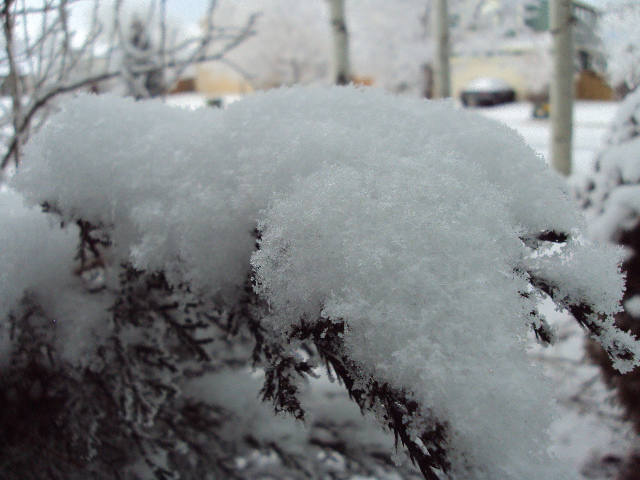 a0204348_1064234.jpg