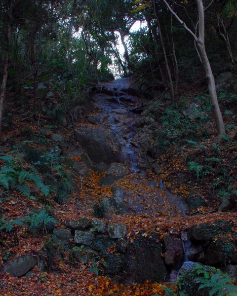 e0035757_18345374.jpg
