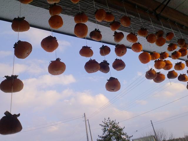f0104457_758480.jpg