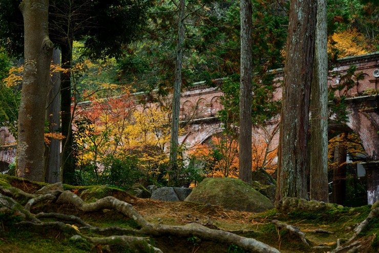 京都 水路閣 ~紅葉~_f0222161_9175321.jpg