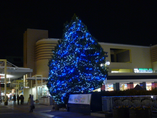 f0200477_23212454.jpg