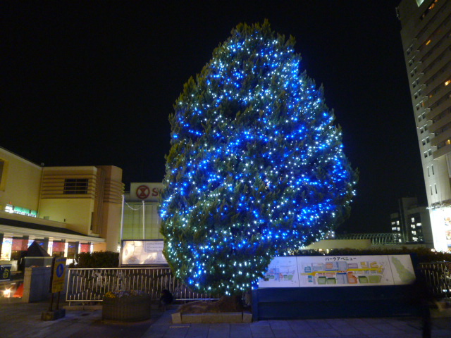 f0200477_2322617.jpg