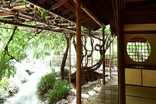 c0229483_1283789.jpg