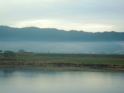 a0082884_2204528.jpg