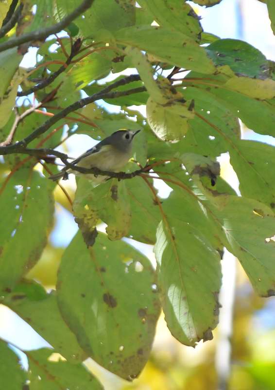 f0202686_20373423.jpg
