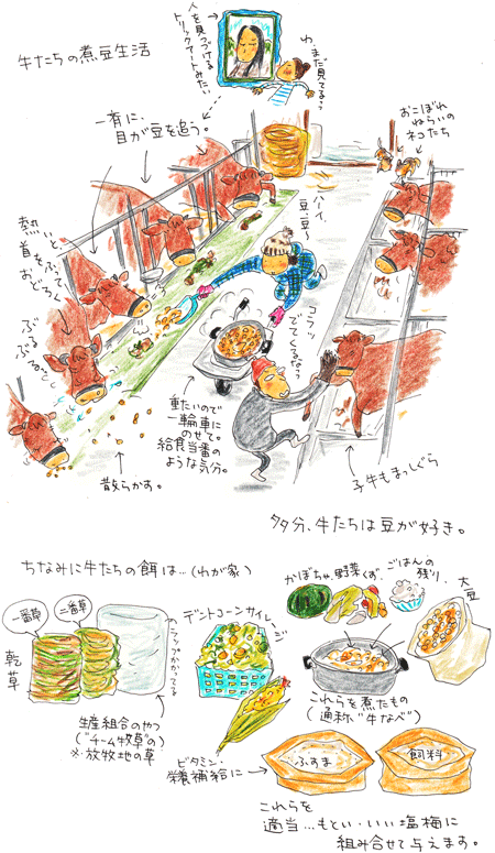 牛たちの煮豆生活_f0236291_11254551.gif