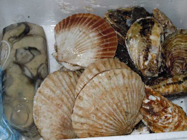 b0120492_15425439.jpg