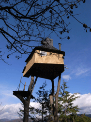 神長官守矢資料館_c0220592_1157637.gif