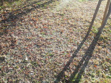 c0267692_2283647.jpg