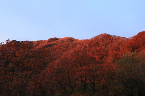 日光旅行(2)_b0275998_014233.jpg