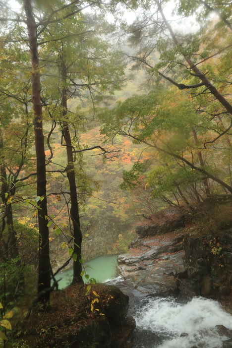日光旅行(2)_b0275998_0204777.jpg