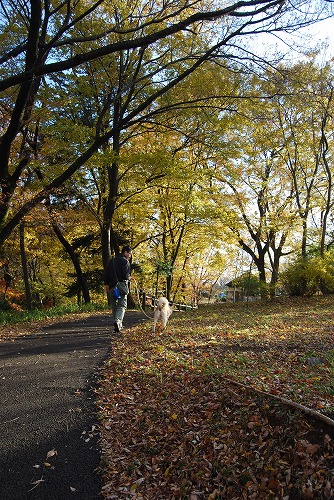 狭山公園で「とろもっち」ティータイム_c0124100_14214757.jpg