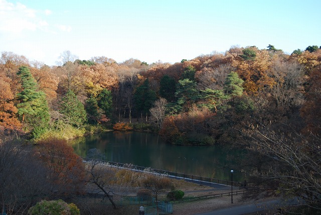 狭山公園で「とろもっち」ティータイム_c0124100_14221687.jpg