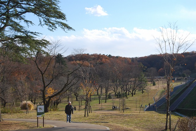 狭山公園で「とろもっち」ティータイム_c0124100_14364994.jpg