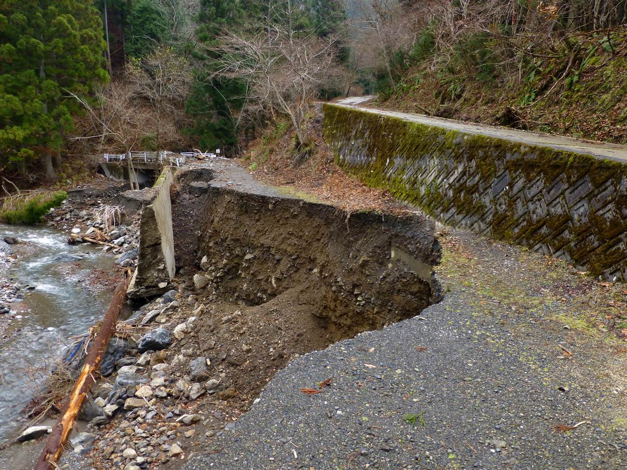 銚子岳・静ヶ岳－茨川林道からの尾根周回_e0110500_2153813.jpg