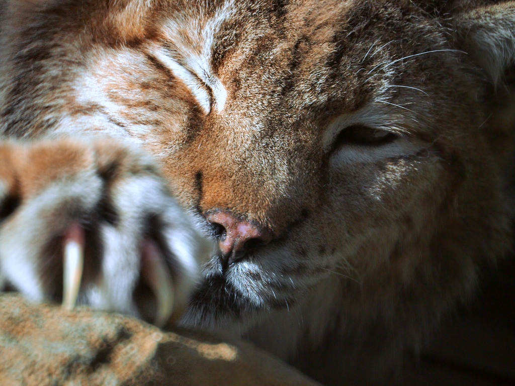 ミラーレンズで動物園 ～ 王子動物園⑤_b0138101_65744.jpg