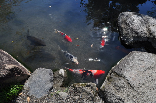 2012秋の京都へ　⑬シルエットが最高の東寺へ_e0007801_10572670.jpg