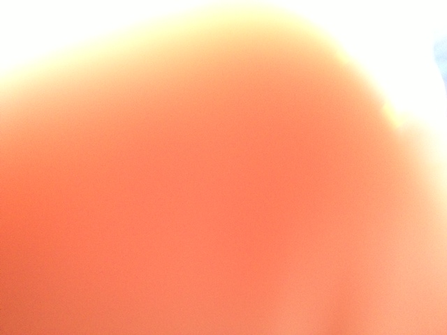 a0050302_4233753.jpg