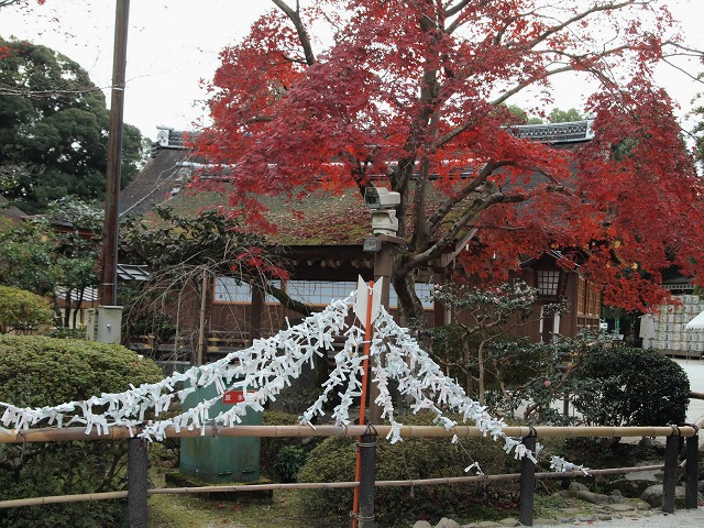 e0039703_033044.jpg