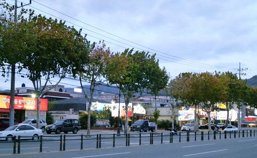 a0140305_193118.jpg